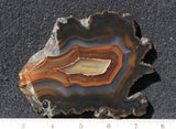 Piranha Slab 82