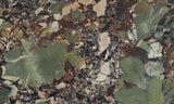 Whiskey Creek Jasper Rock Slab 62