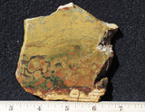 Whiskey Creek Jasper Rock Slab 125