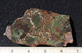 Whiskey Creek Jasper Rock Slab 193