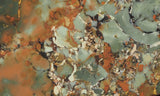 Whiskey Creek Jasper Rock Slab 63