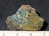 Whiskey Creek Jasper Rock Slab 117