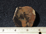 Whiskey Creek Jasper Rock Slab 105