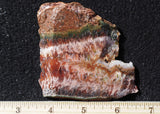 Cady Mountain Rock Slab 179