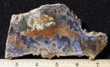 Burro Creek Agate Rock Slab 99