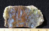 Laguna Moss Agate Slab 286