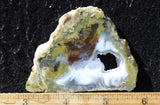 Laguna Moss Agate Slab 295