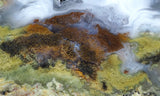 Laguna Moss Agate Slab 295