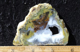Laguna Moss Agate Slab 295