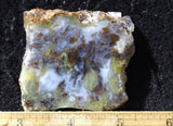 Laguna Moss Agate Slab 279