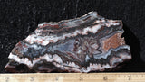 Cady Mountain Rock Slab 184