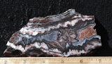 Cady Mountain Rock Slab 184