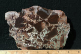 Dead Camel Jasper Rock Slab 63