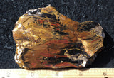Biggs Flame 179