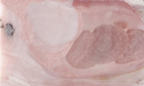 Peruvian Pink Opal Slab 295