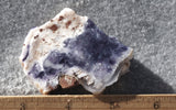 Bargain Bin F Slab 224