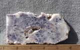 Bargain Bin E Slab 278