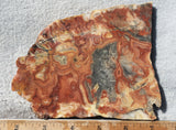 Australian Crazy Lace Slab 484