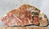 Australian Crazy Lace Slab 455