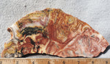 Australian Crazy Lace Slab 461