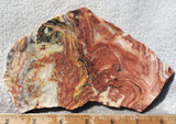 Australian Crazy Lace Slab 468