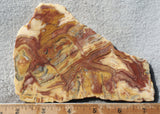 Australian Crazy Lace Slab 460