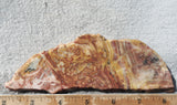 Australian Crazy Lace Slab 496