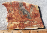 Australian Crazy Lace Slab 495