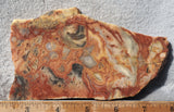 Australian Crazy Lace Slab 475