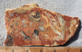 Australian Crazy Lace Slab 475