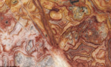 Australian Crazy Lace Slab 487