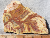 Australian Crazy Lace Slab 472