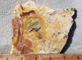 Australian Crazy Lace Slab 470