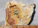 Australian Crazy Lace Slab 470