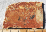 Australian Crazy Lace Slab 440