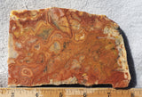 Australian Crazy Lace Slab 442