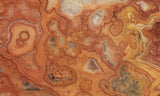 Australian Crazy Lace Slab 442