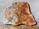 Australian Crazy Lace Slab 435