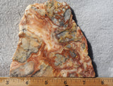 Australian Crazy Lace Slab 454