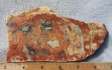 Australian Crazy Lace Slab 444