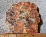 Australian Crazy Lace Slab 445