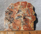 Australian Crazy Lace Slab 445