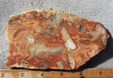 Australian Crazy Lace Slab 446