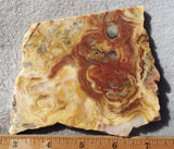 Australian Crazy Lace Slab 436