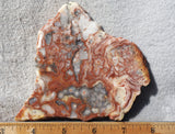 Australian Crazy Lace Slab 448