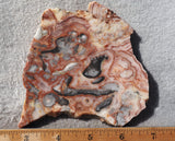 Australian Crazy Lace Slab 437