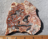 Australian Crazy Lace Slab 437