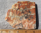 Australian Crazy Lace Slab 453