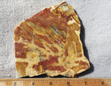 Australian Crazy Lace Slab 462