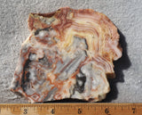 Australian Crazy Lace Slab 491